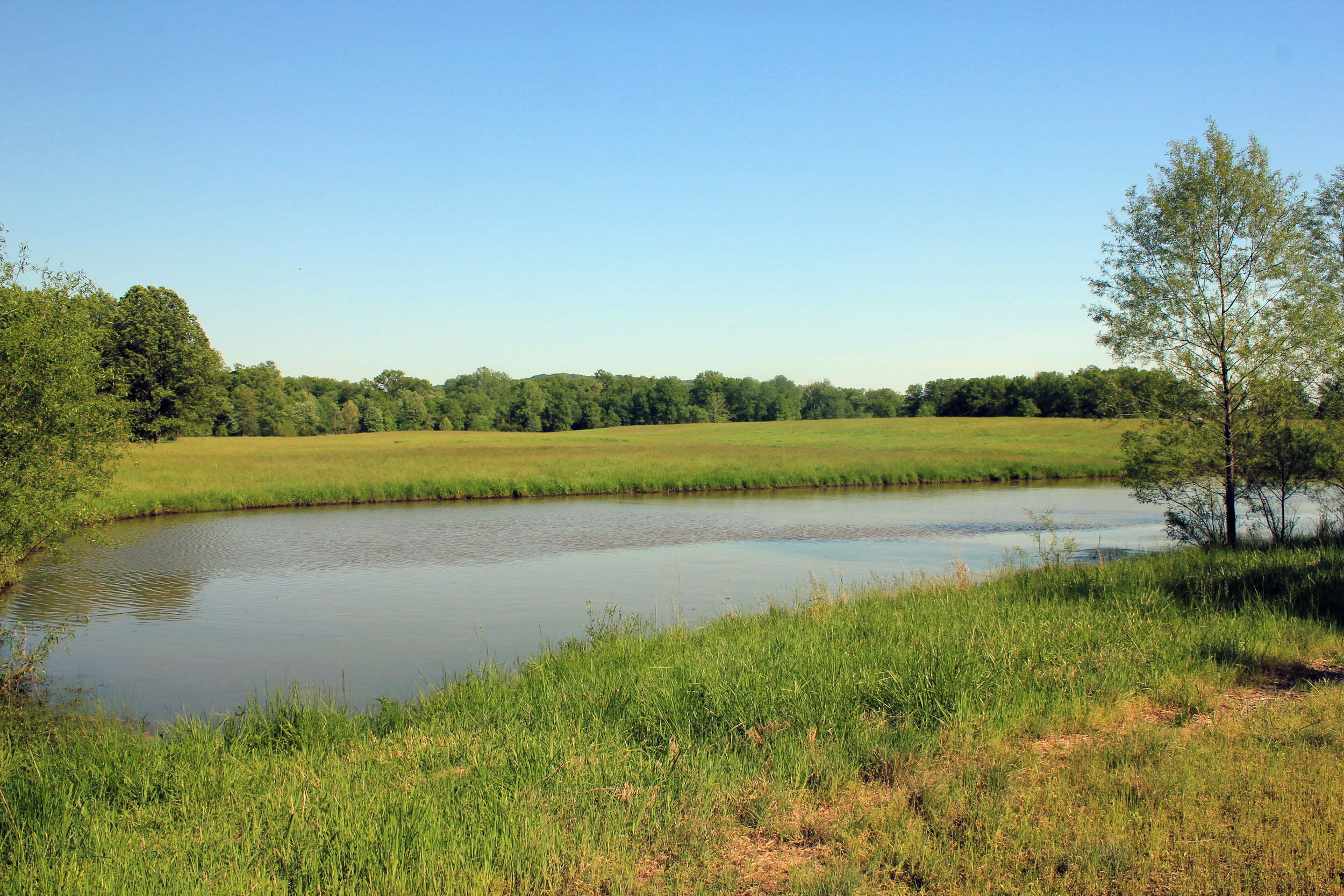 Landscape and pond at Route 66 State Park near Eureka, Missouri