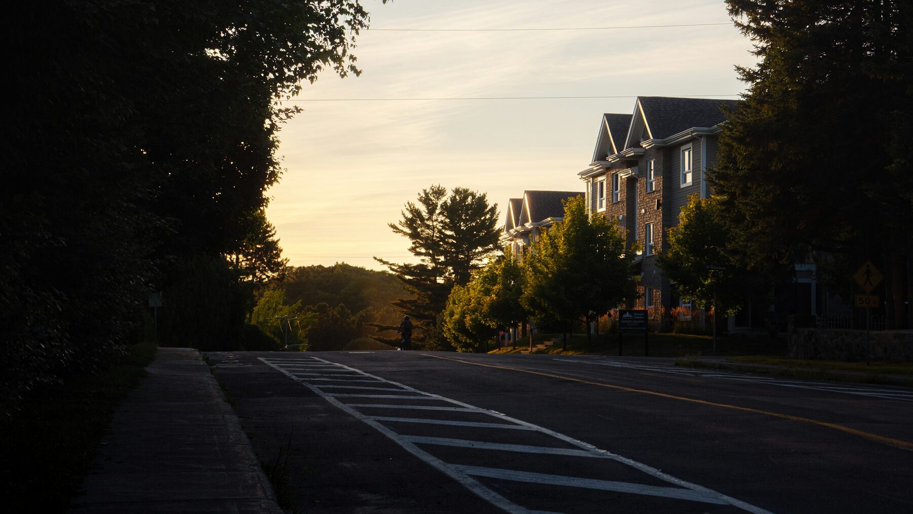 Illustrative tree-lined suburban street at sunset