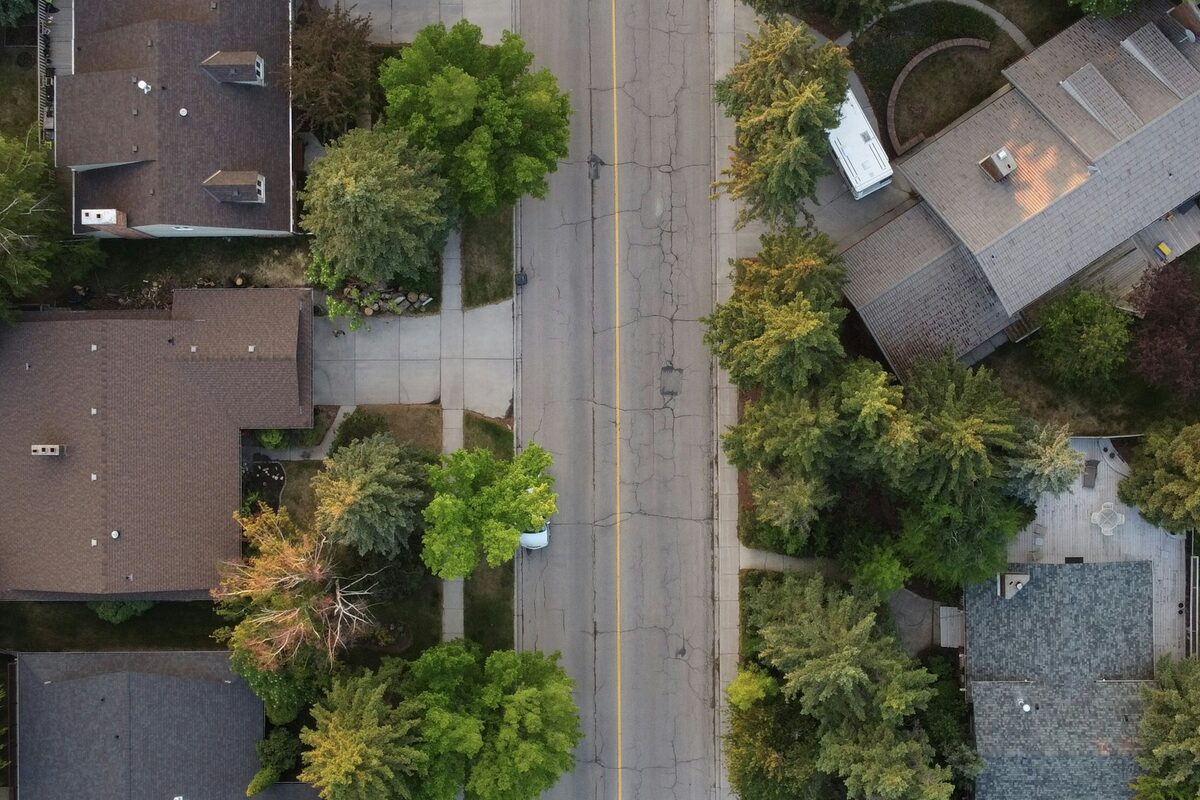 Illustrative aerial view of a tree-lined suburban street