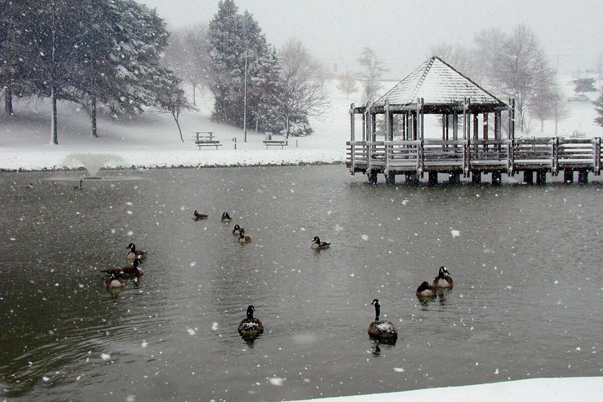 Vlasis Park pond and gazebo during snowfall in Ballwin, Missouri