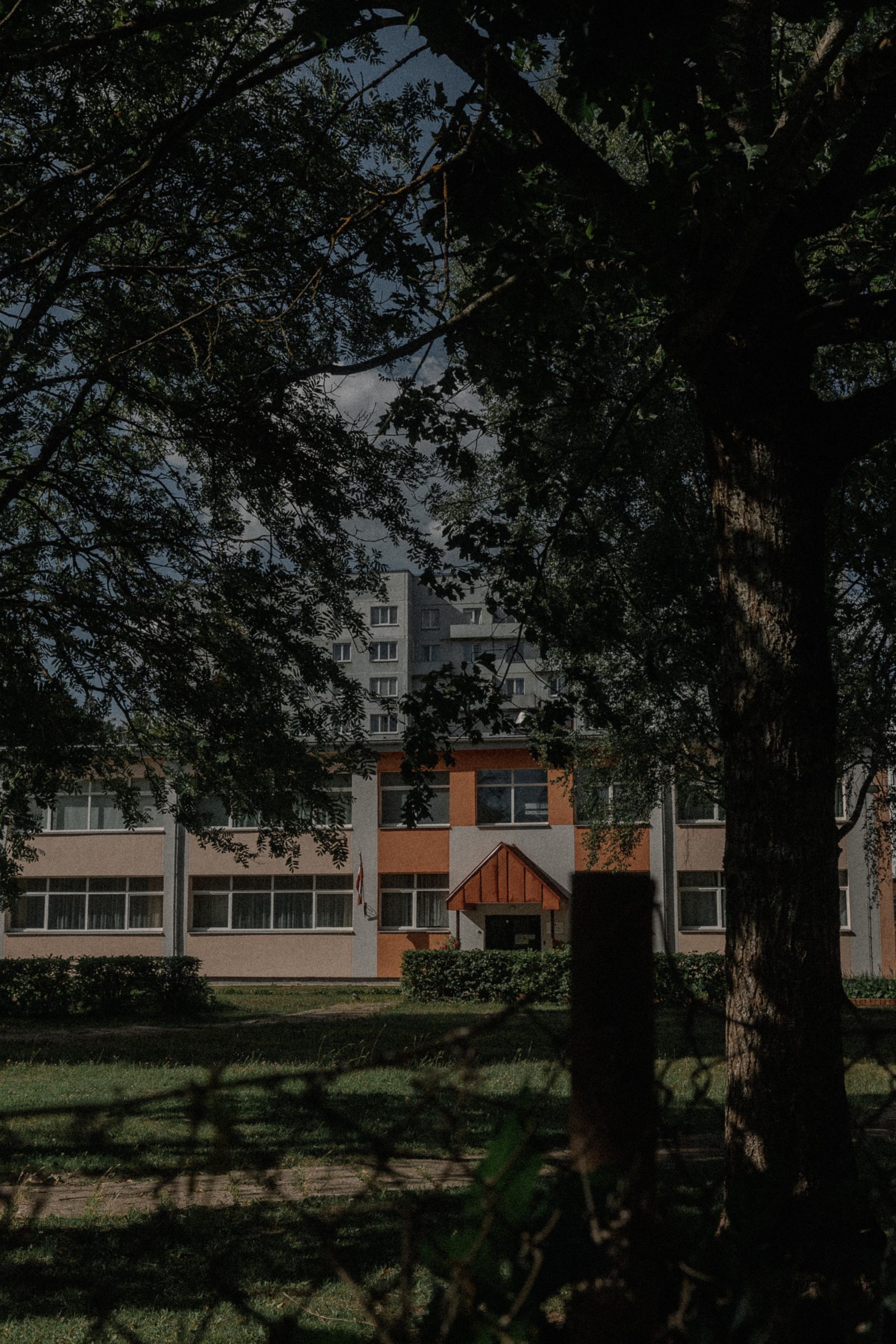A modern school building framed by trees