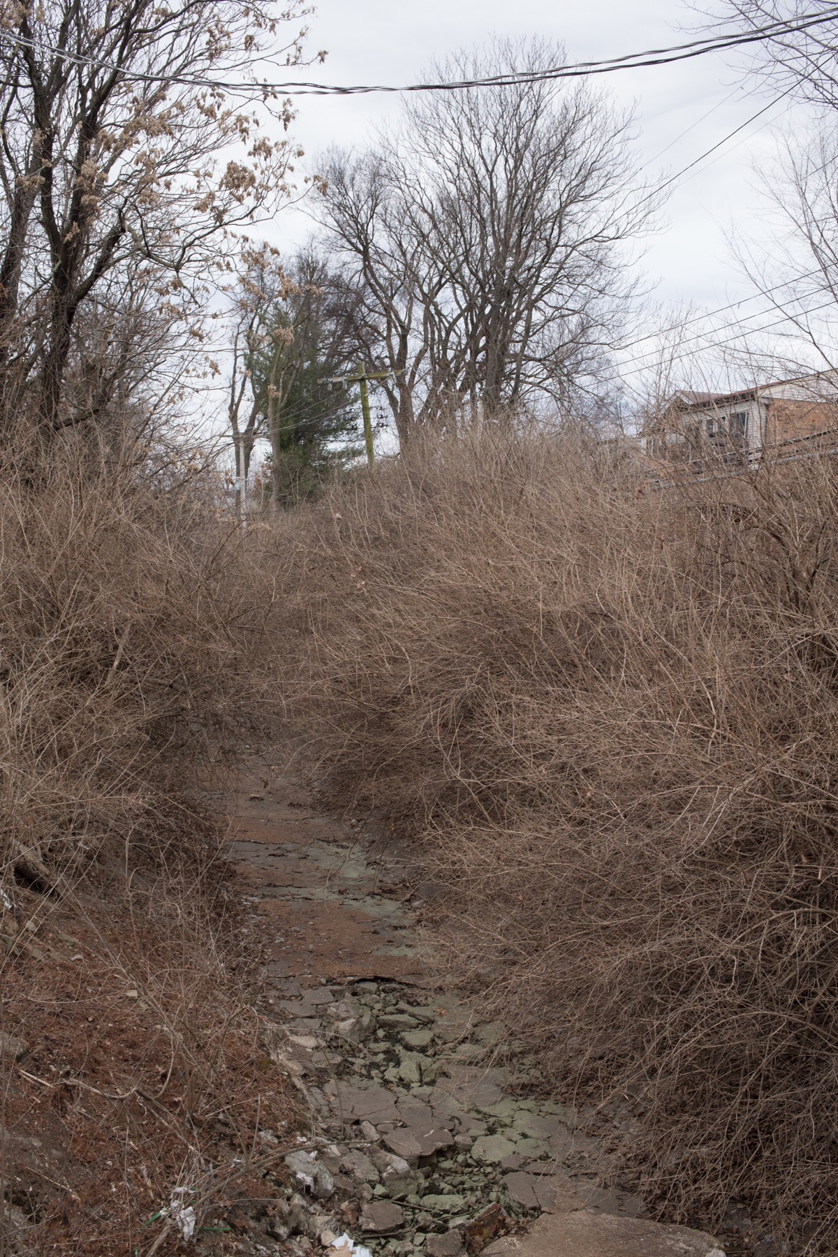 Claytonia Creek in Richmond Heights, Missouri