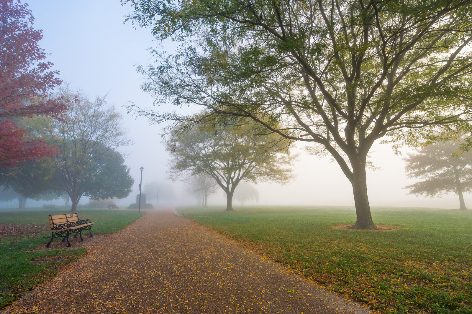 Tree-lined walking path on a foggy morning in a St. Charles, Missouri park