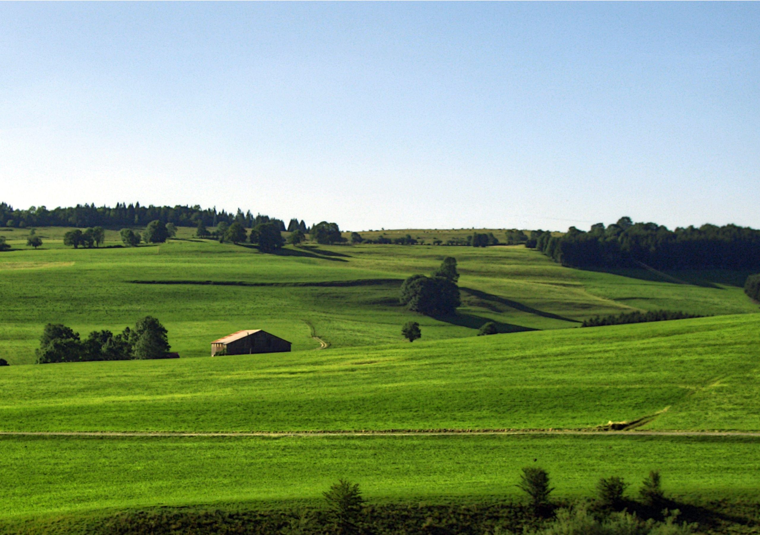 Rolling countryside landscape